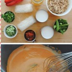 Coconut Curry Chicken Soup