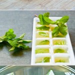 Mint & Lime Juice Cubes