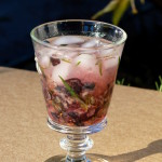 Low-Calorie Blueberry Tarragon Cocktail