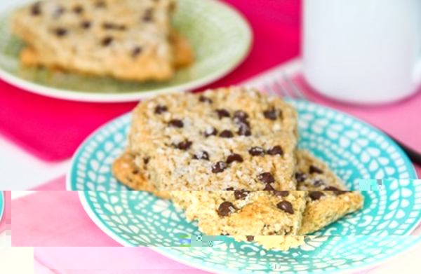 Oatmeal-Chocolate-Chip-Bars-6-450x318