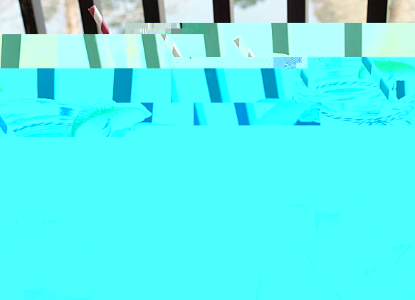c1